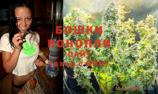 ECSTASY Михайлов