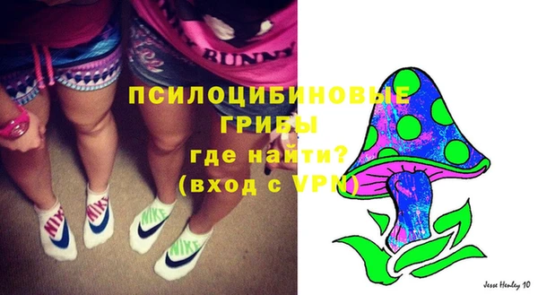 ECSTASY Михайлов