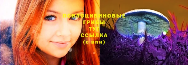 ECSTASY Михайлов